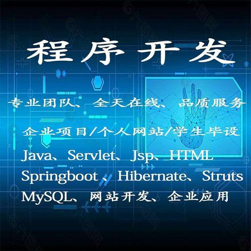 java程序安卓c语言做留学生编程web程序写管理系统定制开发
